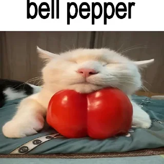 🐈