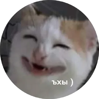 😁
