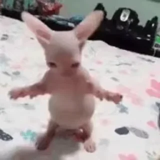 🥳