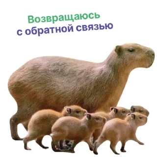 🏃