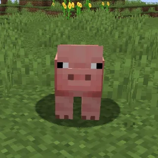 🐖