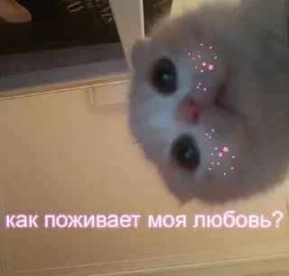 👀
