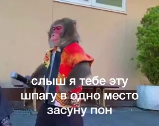 🌟