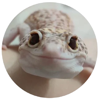 😀