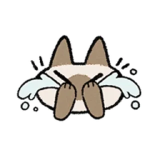 😺