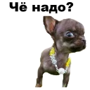 😠