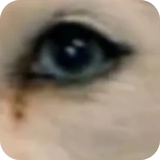 🤲