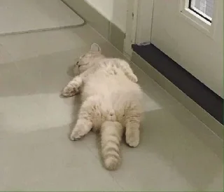 🙃