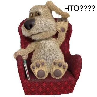 🐶
