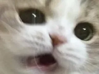 😧