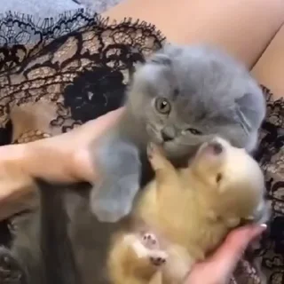 🥰