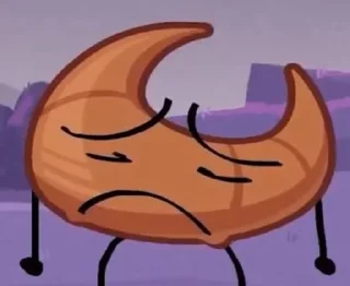 🌟