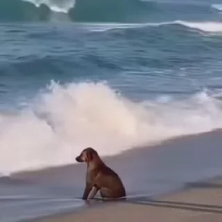💧