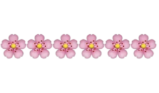 🌸
