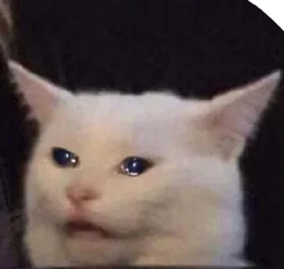 😭