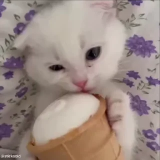 🍭