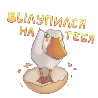 🤩