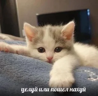 ☺️