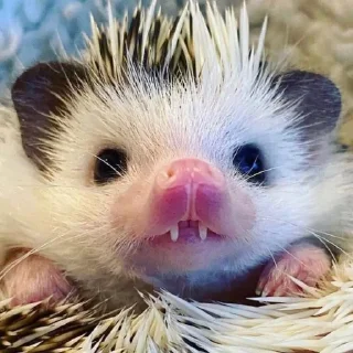😐