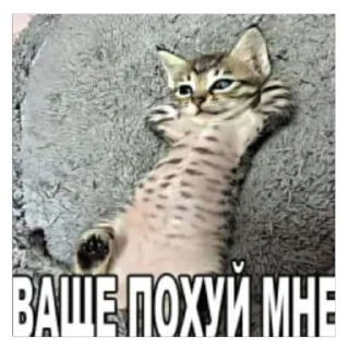 😉