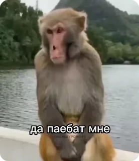 😐