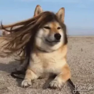 👩