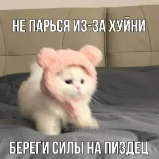 😯