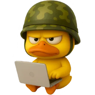 💻