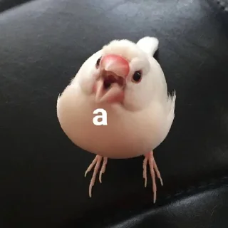 😱
