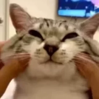 😊
