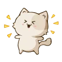 🌟