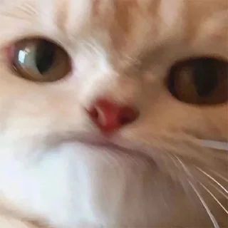 😐