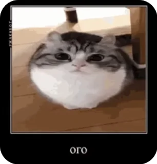 😳