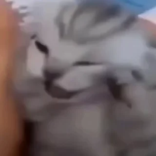 😡