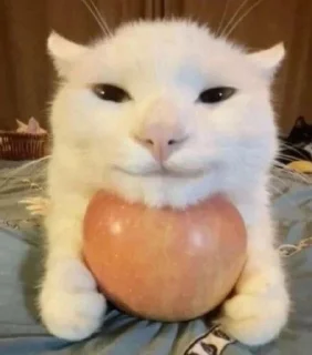 😊