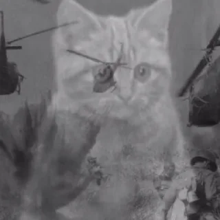 😱