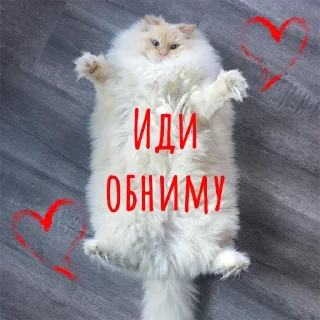 🤗
