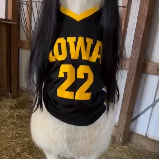 😙