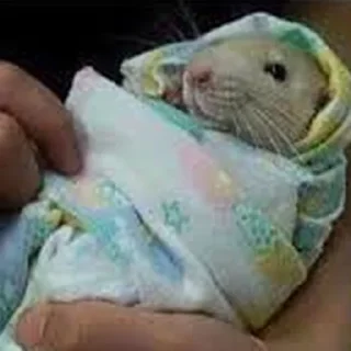 👶