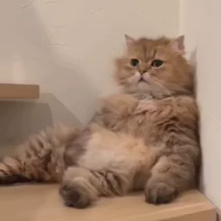 🥱