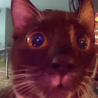 😳