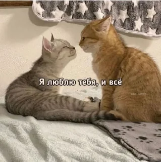 💜
