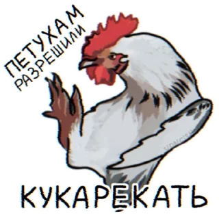 🐦