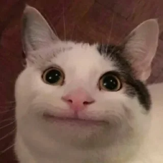 🐈