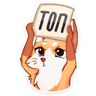 👍