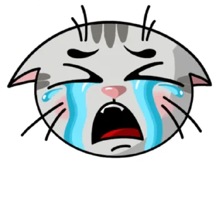😭