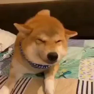 😢