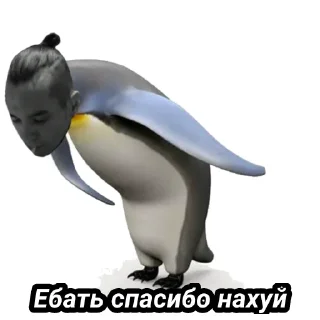 🐧