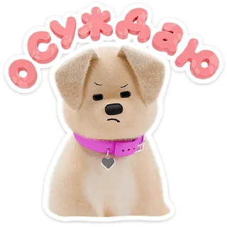 🐶