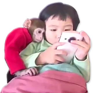 🐒